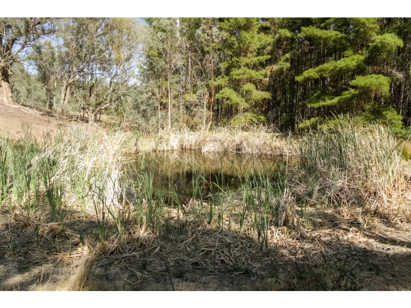 326 Campagnolos Rd, Mansfield VIC 3722