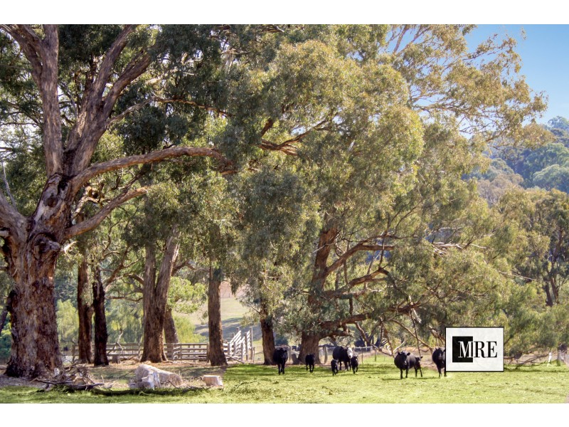 850 Glen Creek Road, Bonnie Doon VIC 3720