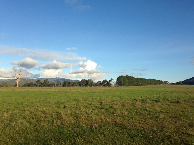 25 Pearce Lane, Swanpool VIC 3673