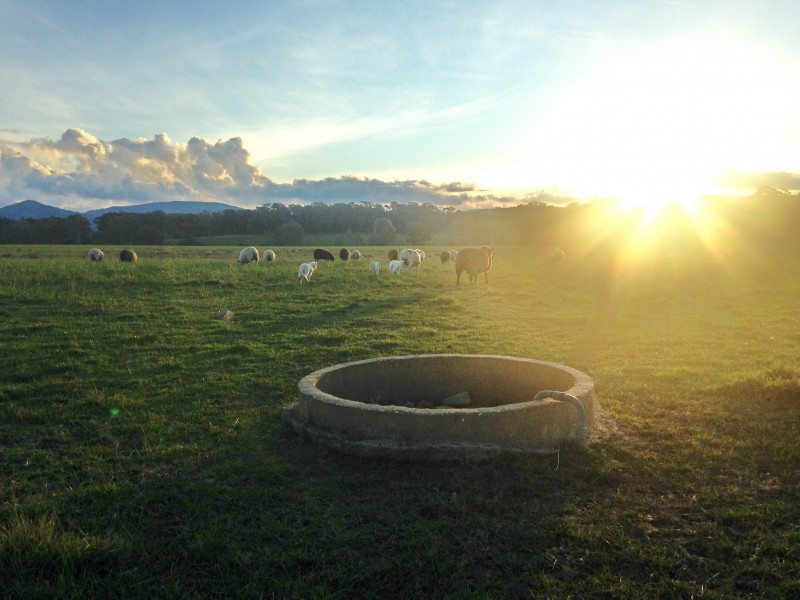 25 Pearce Ln, Swanpool VIC 3673