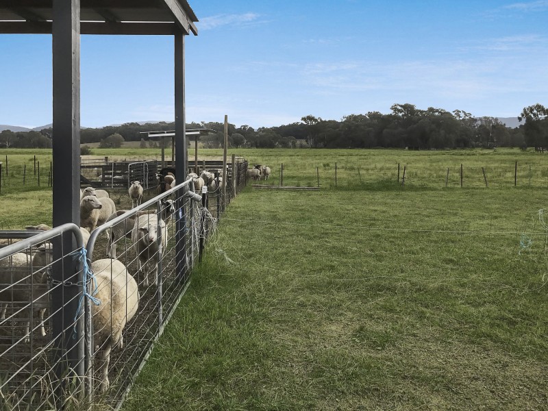 25 Pearce Ln, Swanpool VIC 3673