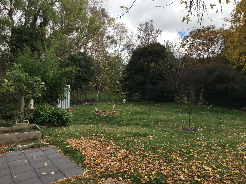 29 Rowe Street, Mansfield VIC 3722