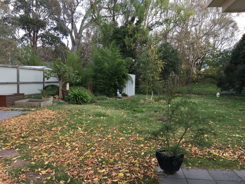 29 Rowe Street, Mansfield VIC 3722