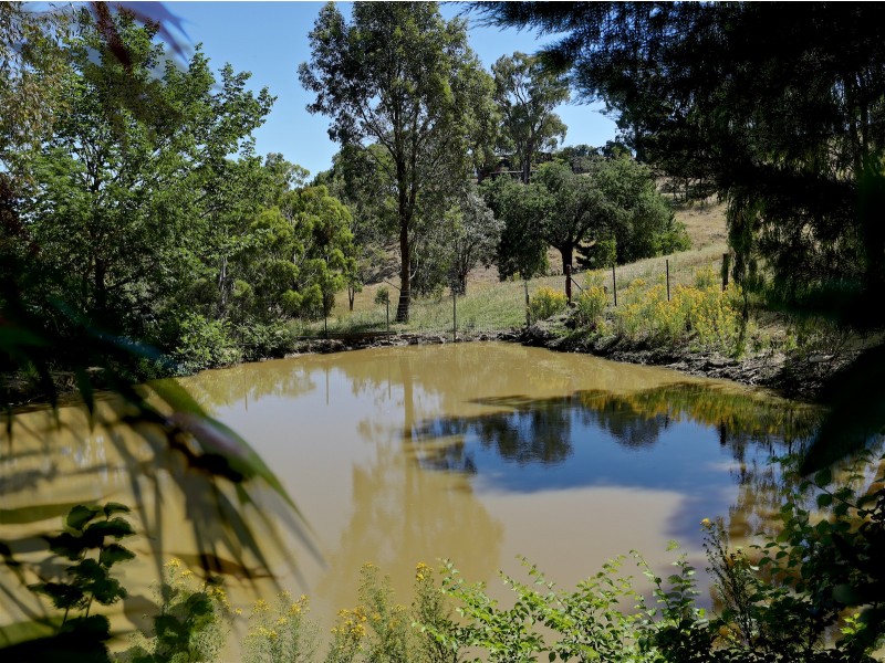 149 Kiernans Rd, Bonnie Doon VIC 3720