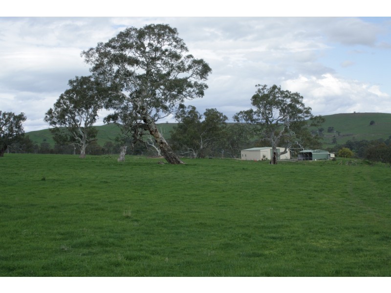 161 McLeod Lane, Mansfield VIC 3722
