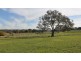 98 Mt Battery Road, Mansfield VIC 3722
