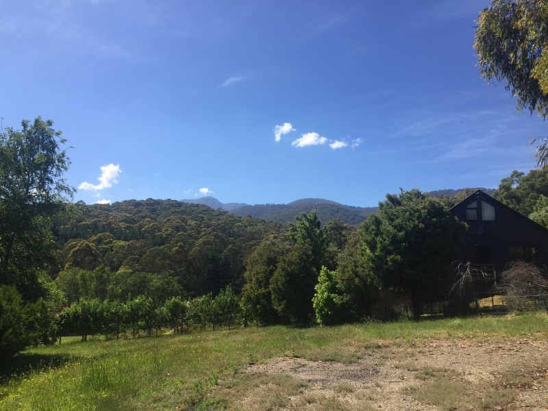 2/27 Changue Road (Merrijig), Mansfield VIC 3722