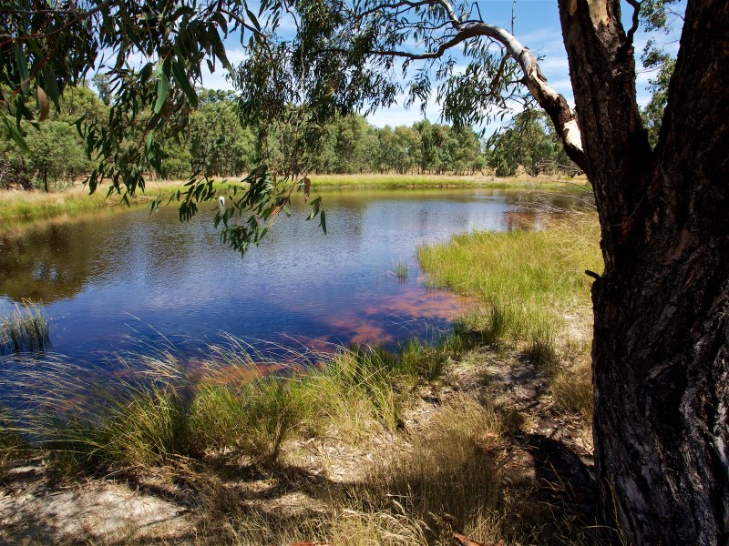 2932 Merton Euroa Road, Merton VIC 3715