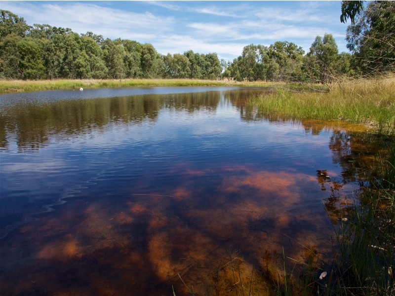 2932 Merton Euroa Road, Merton VIC 3715