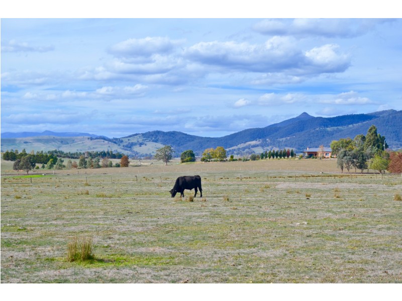 221 Wairere Road, Boorolite VIC 3723