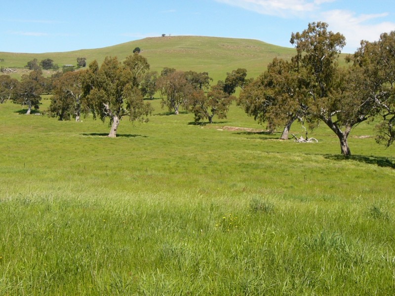 585 Kilmuir Lane, Mansfield VIC 3722