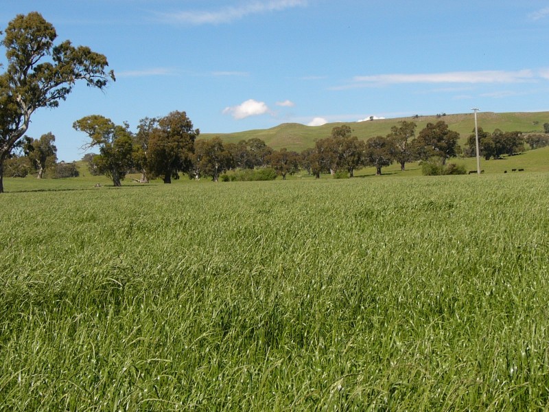 585 Kilmuir Lane, Mansfield VIC 3722