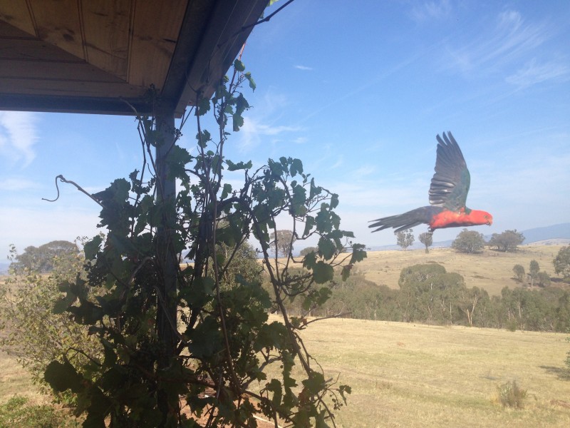 200 Melba Road, Barwite VIC 3722