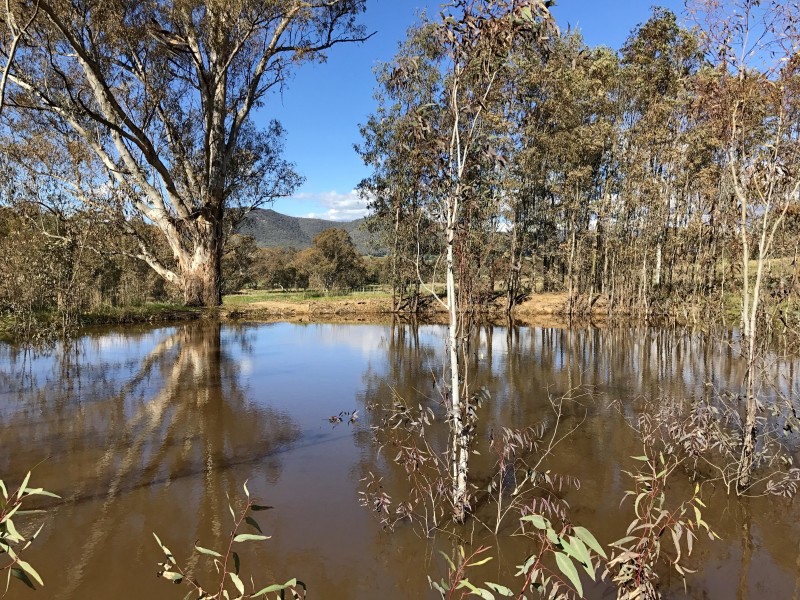 1/65 Mitchell Road, Tatong VIC 3673