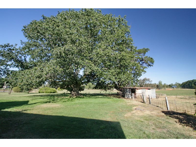 210 Malcolm Street, Mansfield VIC 3722