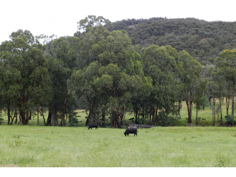 - O’Dea Road South, Tatong VIC 3673