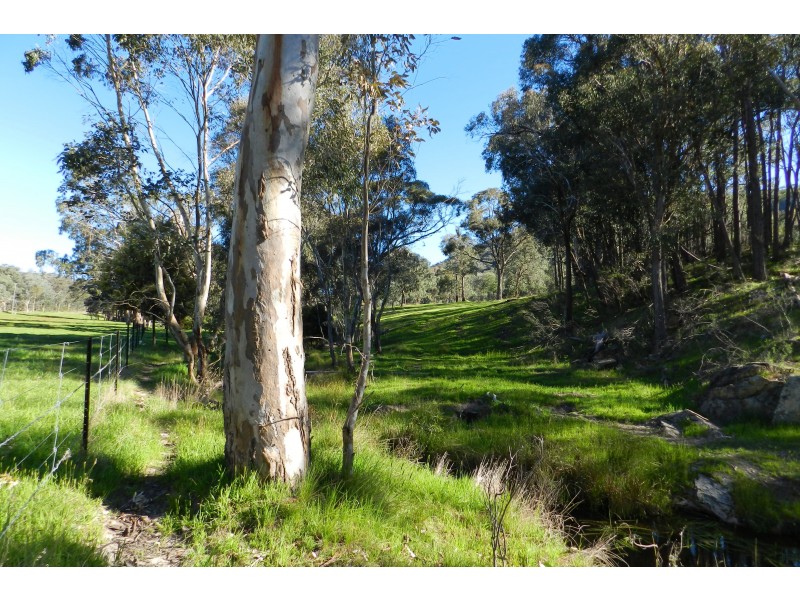 - O’Dea Road South, Tatong VIC 3673