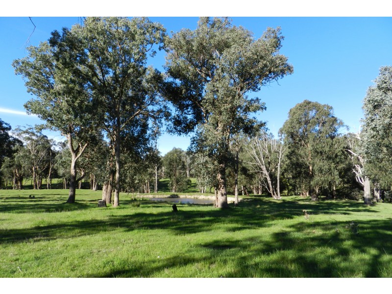 - O’Dea Road South, Tatong VIC 3673