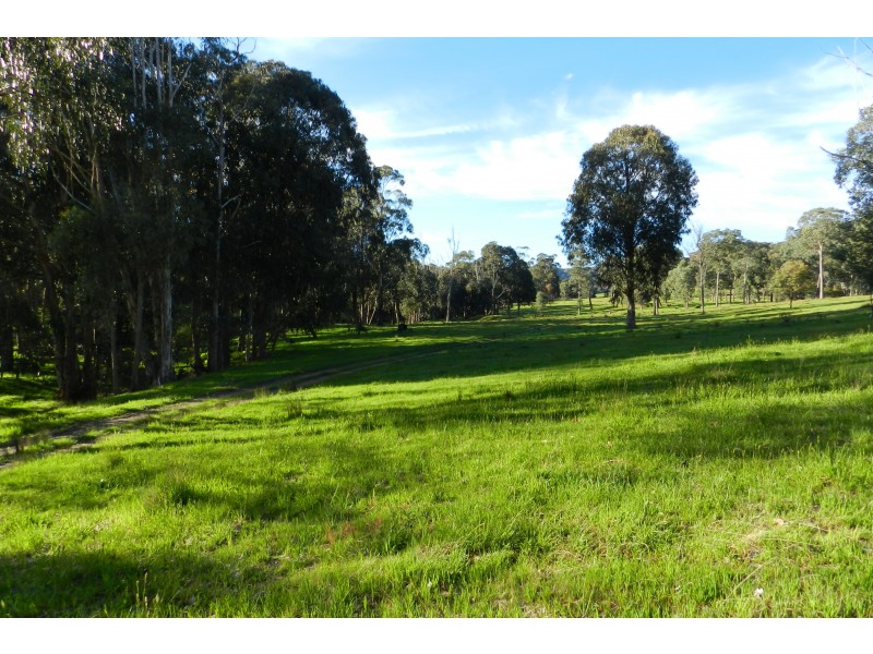 - O’Dea Road South, Tatong VIC 3673