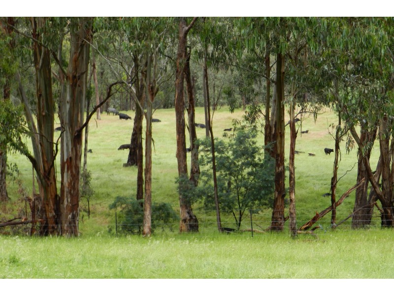 - O’Dea Road South, Tatong VIC 3673