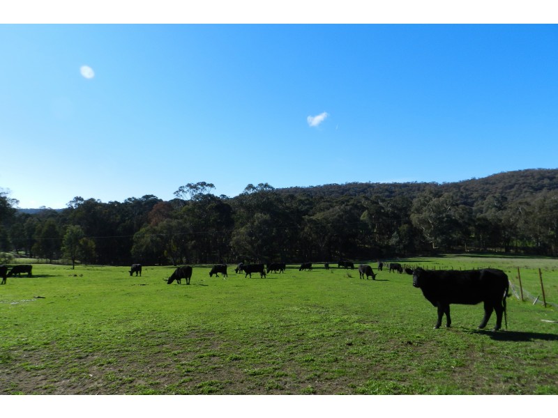 - O’Dea Road South, Tatong VIC 3673