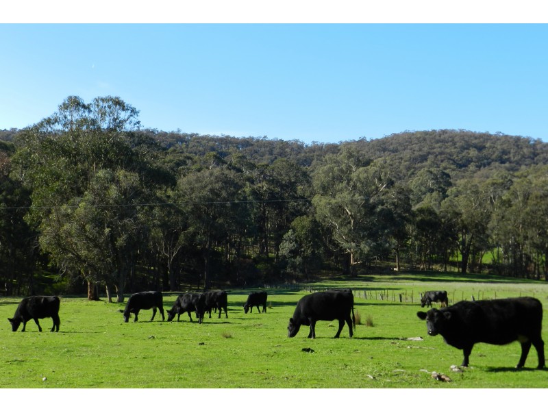 - O’Dea Road South, Tatong VIC 3673