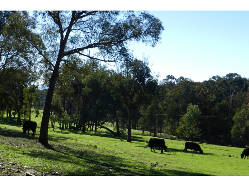 - O’Dea Road South, Tatong VIC 3673