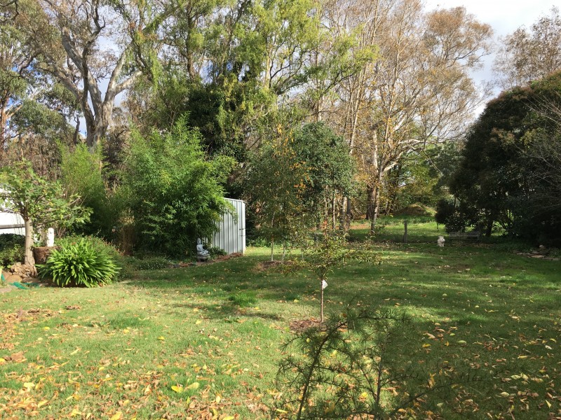 29 Rowe Street, Mansfield VIC 3722