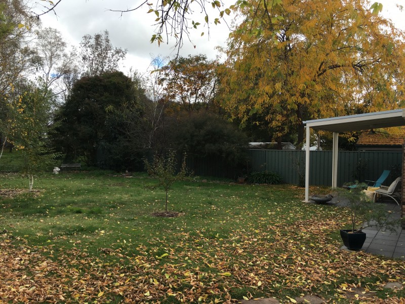 29 Rowe Street, Mansfield VIC 3722