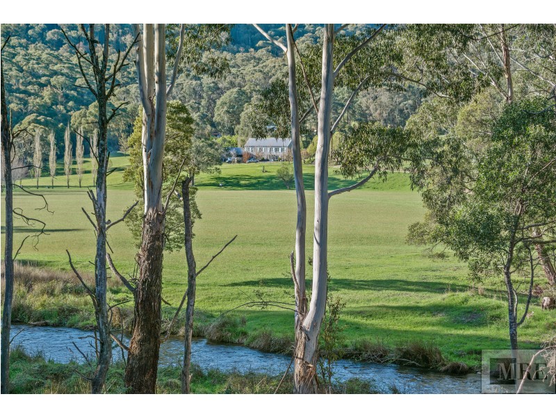 Lot 1/2487 Mt Buller Road, Merrijig VIC 3723