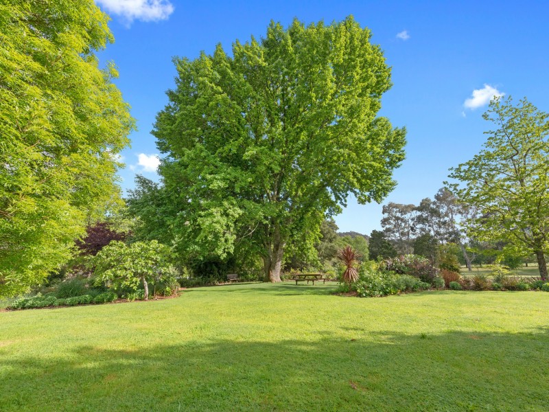 74 Licola-Jamieson Road, Jamieson VIC 3723