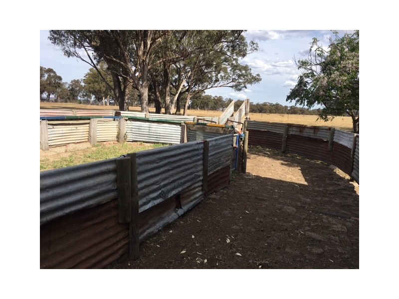 1 Dargalong Road, Avenel VIC 3664