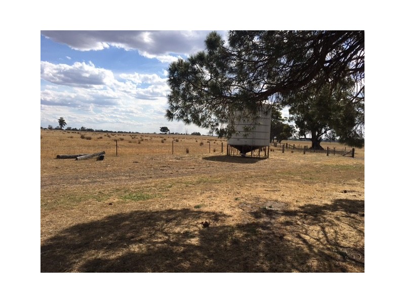 1 Dargalong Road, Avenel VIC 3664