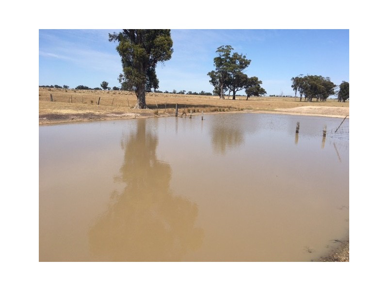 1 Dargalong Road, Avenel VIC 3664