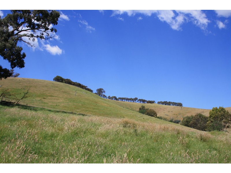 1 Yellow Box Lane, Bonnie Doon VIC 3720