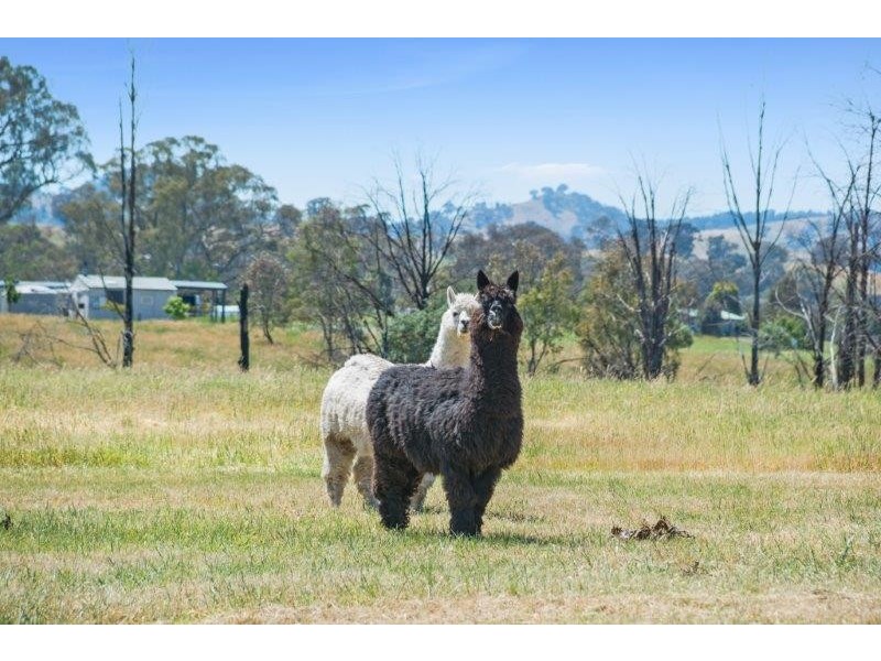 821 Howes Creek Road, Mansfield VIC 3722