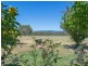821 Howes Creek Road, Mansfield VIC 3722