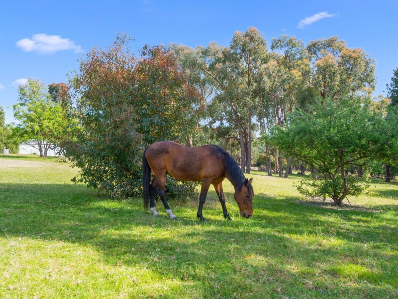238 Gandini Lane, Lima East VIC 3673