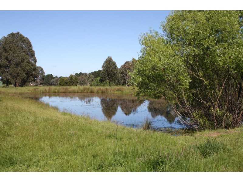 329 Buttercup Road, Merrijig VIC 3723