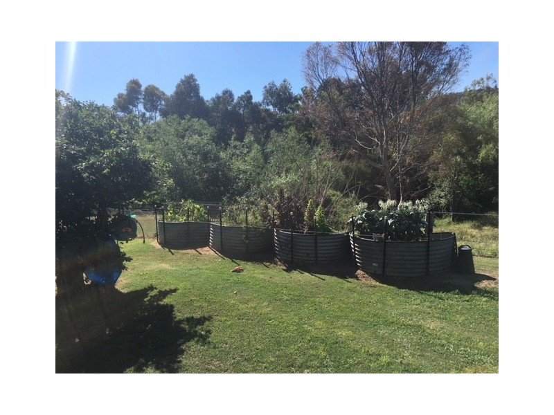 389 Buttercup Road, Merrijig VIC 3723