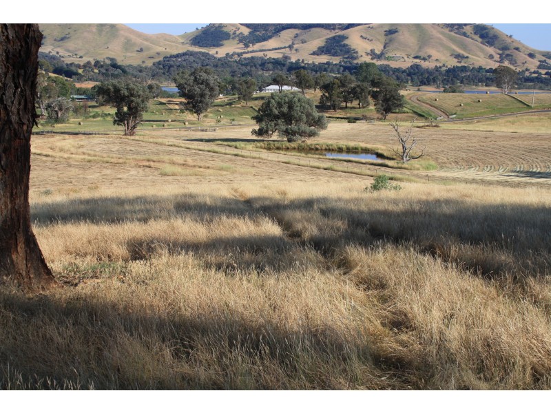 33 Loyola Drive, Mansfield VIC 3722