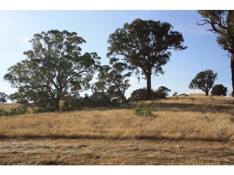 33 Loyola Drive, Mansfield VIC 3722