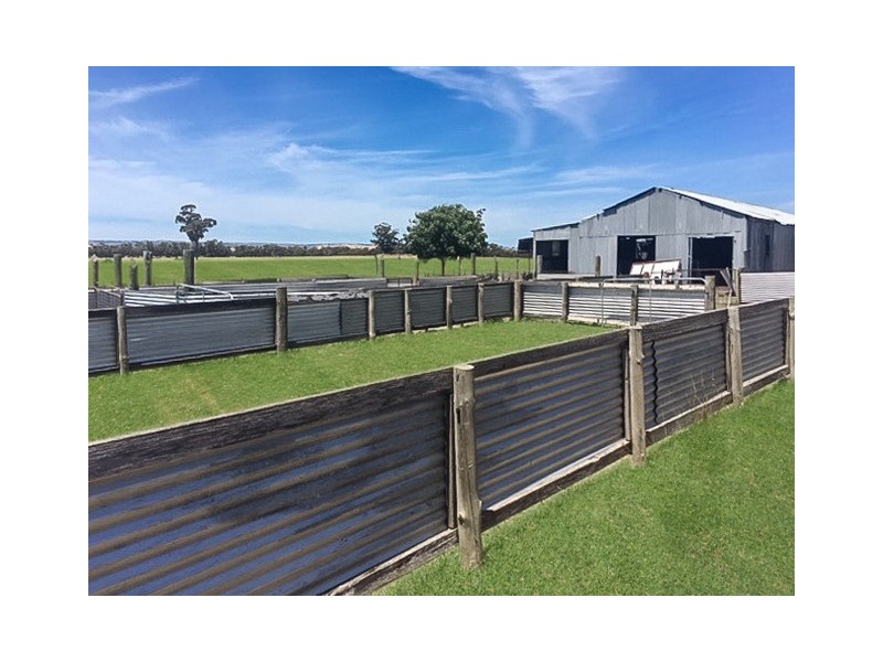 903 Tabilk – Monea Road, Avenel Vic, Avenel VIC 3664