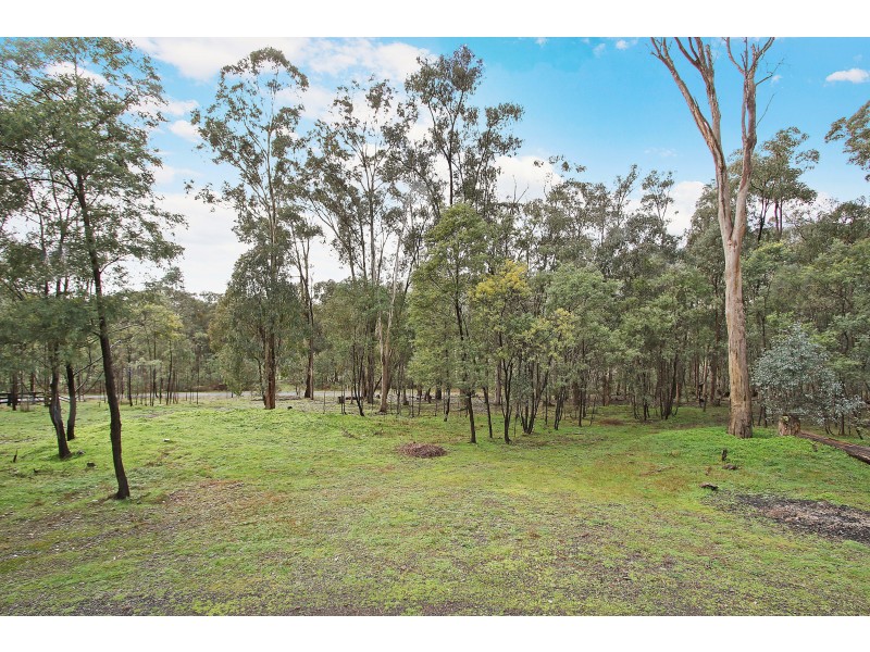 56 Bluegum Crescent, Bonnie Doon VIC 3720