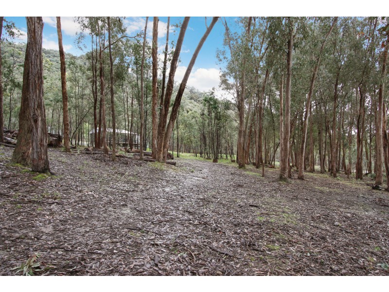 56 Bluegum Crescent, Bonnie Doon VIC 3720