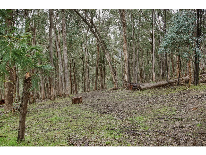 56 Bluegum Crescent, Bonnie Doon VIC 3720