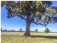 Tabilk-Monea Road, Avenel VIC 3664