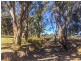 Tabilk-Monea Road, Avenel VIC 3664