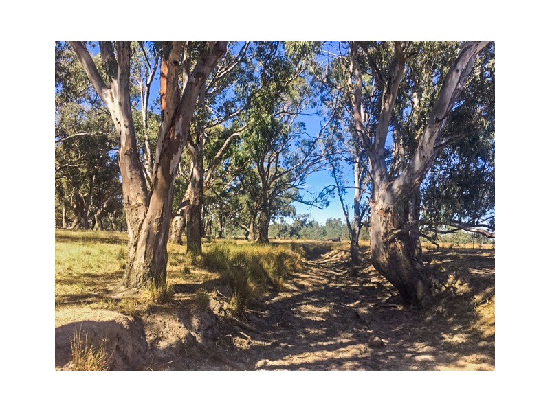 Tabilk-Monea Road, Avenel VIC 3664