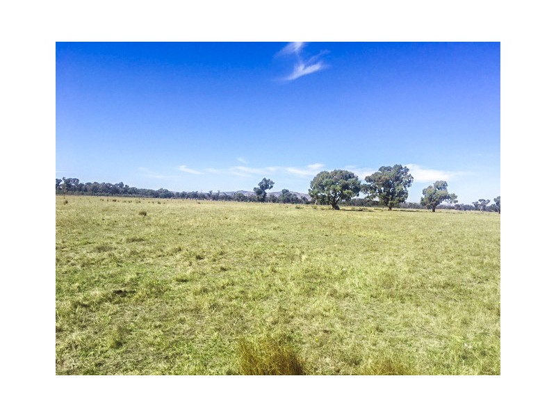 Tabilk-Monea Road, Avenel VIC 3664